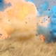 Border patrol agent Dennis Dickey’s big gender reveal explosion, seen at the precise moment it sparked a 47,000-acre wildfire.